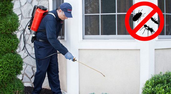 Alucra Kene İlaçlama böcek ilaçlama ve haşere kontrolü — ilaclama-tr.com